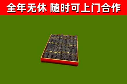 晋中回收海参